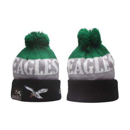Philadelphia Eagles Knit Hat